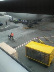 532505_557053390976191_1019111294_n